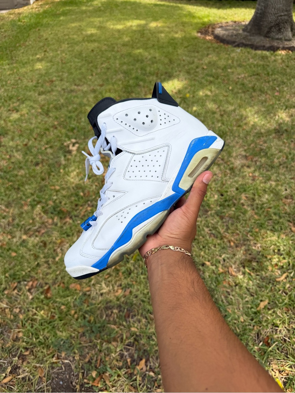 Nike Air Jordan 6 Sport Blue